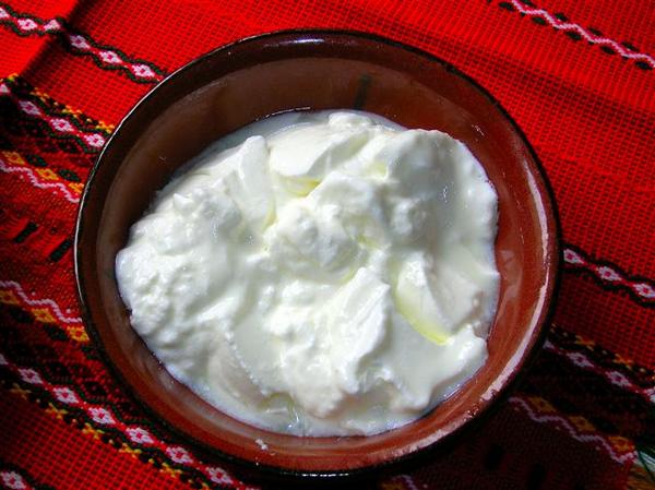 Bulgarian%20Yoghurt