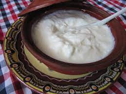 Bulgarian yogurt 1
