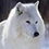 Whitewolf